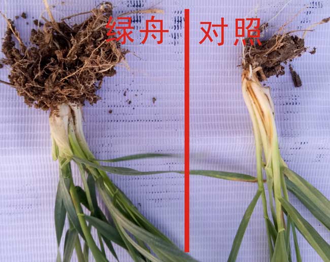 圖形1.jpg 圖形1.jpg