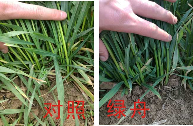 圖形2.jpg 圖形2.jpg