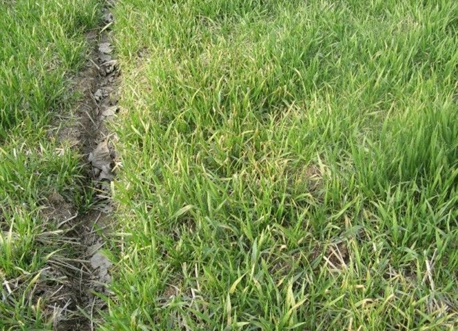 1581493245(1).png 1581493245(1).png