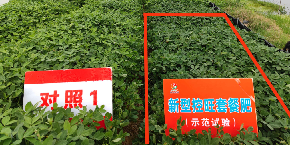 圖片2.png 圖片2.png