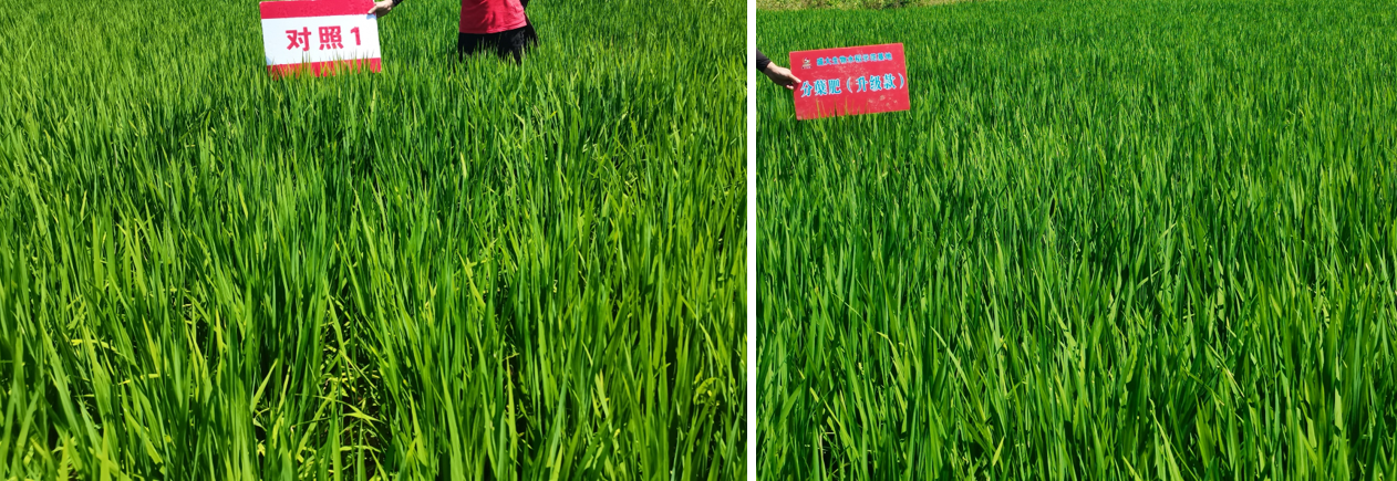 圖片1.png 圖片1.png