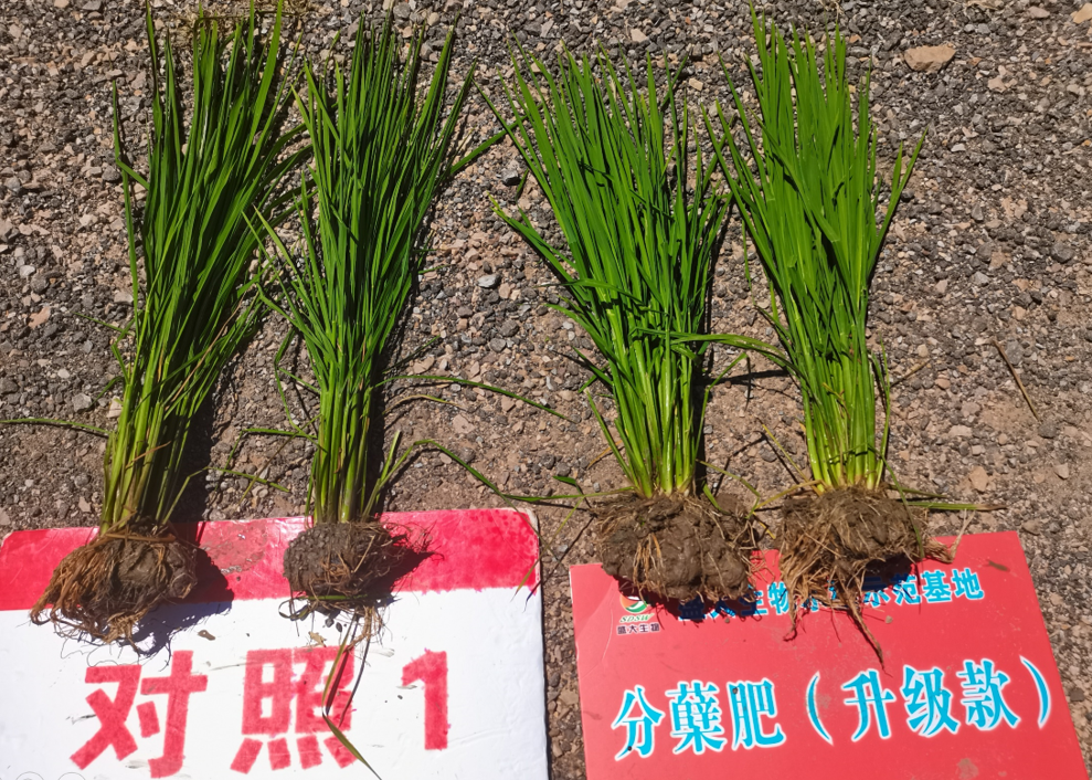 圖片2.png 圖片2.png