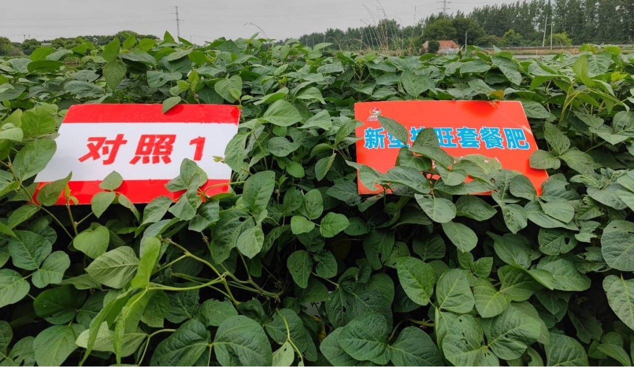 圖片3.jpg 圖片3.jpg