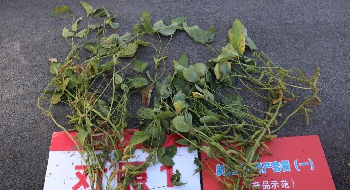 圖片5.jpg 圖片5.jpg