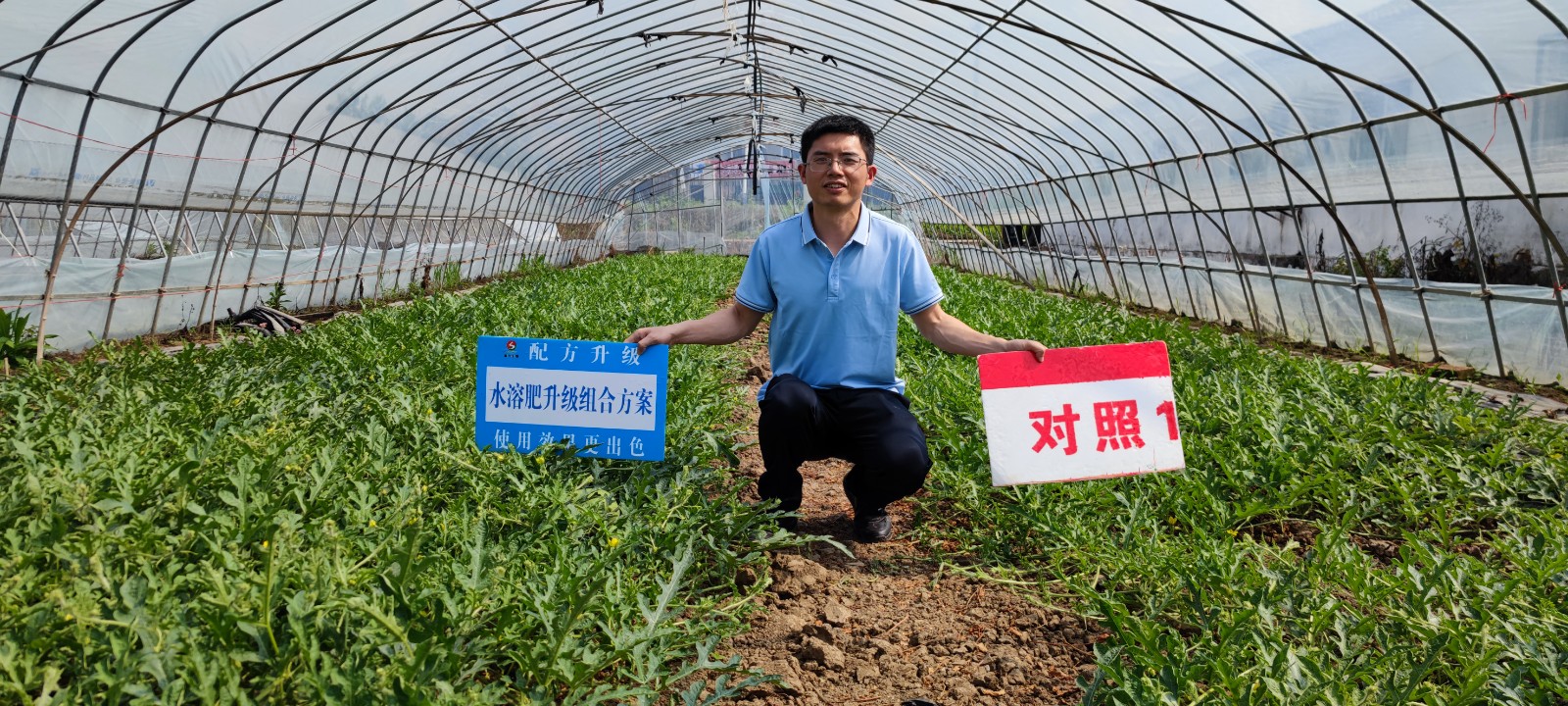 IMG_20230524_151115.jpg IMG_20230524_151115.jpg